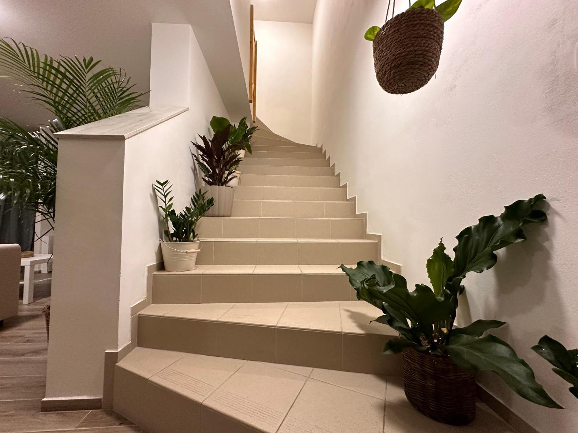 Apartmany Monastery Suites Zirec Dvůr Králové nad Labem Εξωτερικό φωτογραφία